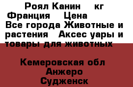  Роял Канин 20 кг Франция! › Цена ­ 3 520 - Все города Животные и растения » Аксесcуары и товары для животных   . Кемеровская обл.,Анжеро-Судженск г.